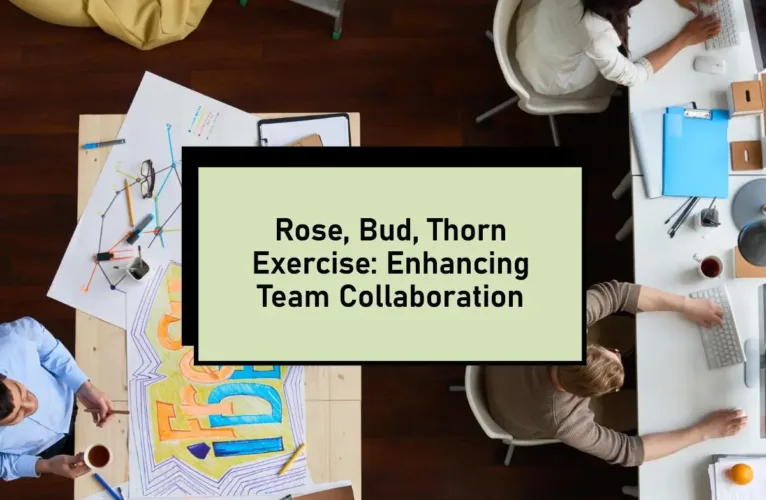 Rose, Bud, Thorn Exercise: Enhancing Team Collaboration